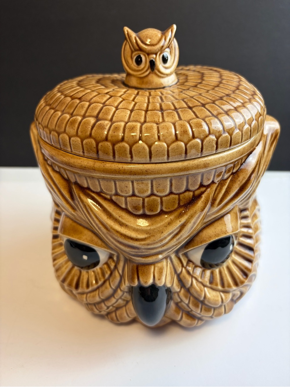 Ceramic Owl Cookie Jar in Glazed Brown